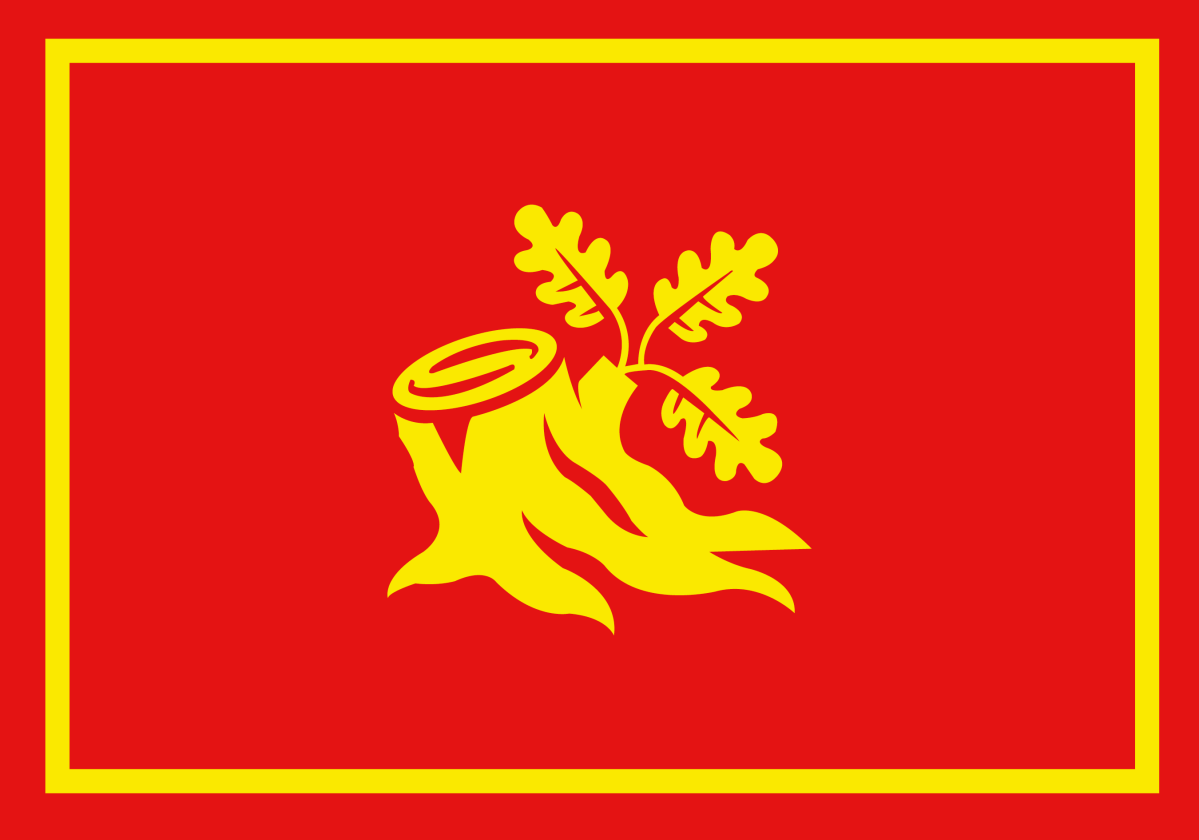 VIKING: Comeback-klubben med comeback-stubben